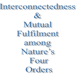 19. Interconnectedness & Mutual Fulfilment among Nature’s Four Orders