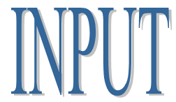 19. INPUT
