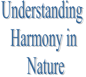18. Understanding Harmony in Nature